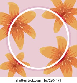 flores amarillas y fondo rosa y marco circular, diseño colorido, ilustración vectorial