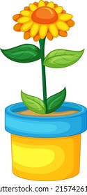 Yellow flowers in a pot in cartoon style illustration