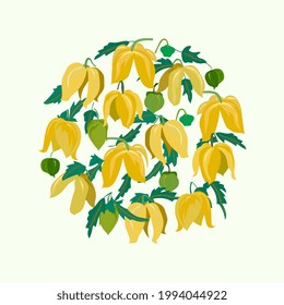 yellow flowers in the shape of a circle. Physalis, clematis hand drawing. Doodle style