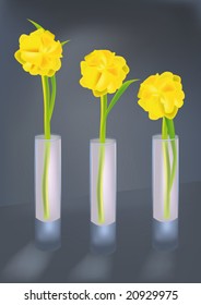 yellow flowers in three glass vases