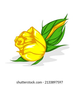 Vector de flores amarillas aislado en fondo en blanco