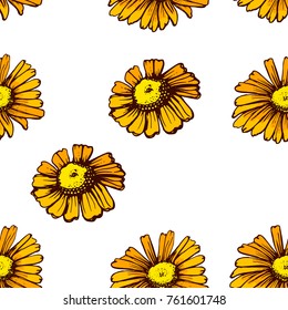 yellow flowers,seamless pattern on a white background , banner , vector illustration