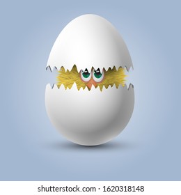 Yellow fluffy chicken hatched from a white egg