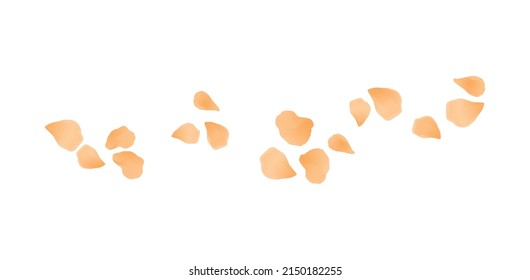 Yellow flying petals isolated on White background. Watercolor Flower Roses petals. Vector