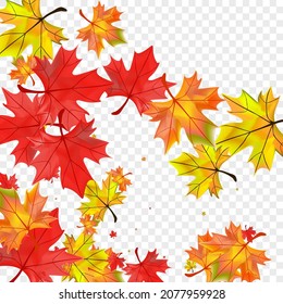 Yellow Foliage Background Transparent Vector. Leaves October Illustration. Orange Canadian Floral. Abstract Plant Design.