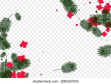 Yellow Foliage Background Transparent Vector. Flora Stylish Illustration. Pink Monstera. Brazil Card. Red Island Texture.