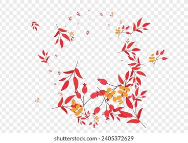 Yellow Foliage Background Transparent Vector. Leaves Natural Template. Pink Herb Agriculture. Elm Texture. Leaf Drawn.
