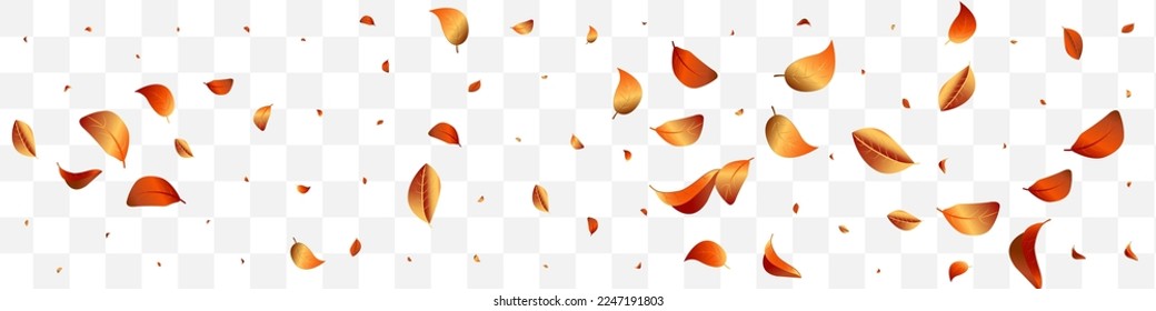 Yellow Foliage Ecology Vector White Transparent Panoramic Background Brochure. Spring Leaves Template. Forest Solar Herbal Backdrop. Leaf Forest Border.