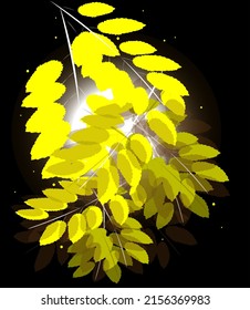 El follaje amarillo sobre un fondo negro está cerca y el sol brilla por detrás. Ilustración vectorial de ramas con hojas.