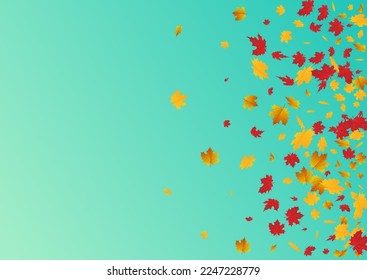 gelber Blattvektor, blauer Hintergrund. kanadischer Pflanzenrahmen. Autumnal Oktober Leaf Card. Bodendesign.