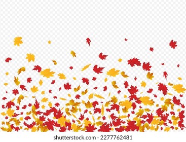 Yellow Foliage Vector Transparent Background. Celebrate Plant Card. Green Beautiful Floral Texture. October Design.