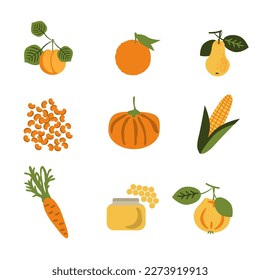 Vegetales y productos frutales de la alimentación amarilla