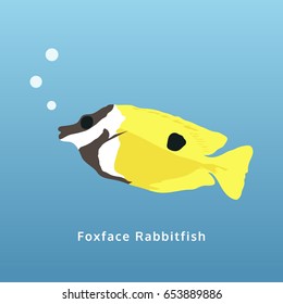 yellow foxface rabbitfish illustration, isolated fish vector