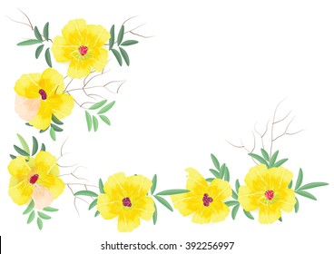 yellow frame  flowers or border yellow flowers with leave on white background