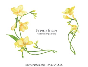 yellow freesia, water color painting