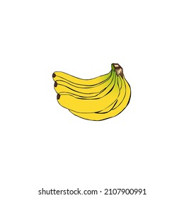 yellow and fresh banana fruit vector