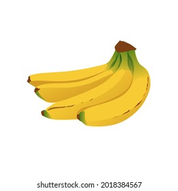Yellow fresh banana vector image for children's magazine cover