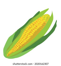 yellow fresh corn eco vegetables 