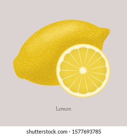 Yellow Fresh lemon and lemon slice, icon isolated on grey background. Illustration fruit Lemon. Vector citrus the whole and cut into pieces