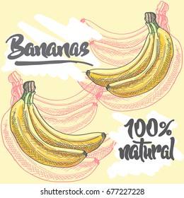 yellow, fresh, organic, natural,colored, bananas graphic, vector illustration, lettering for design, menu, cafe decoration.