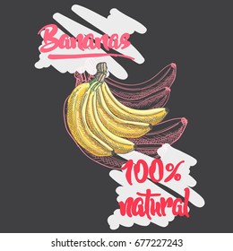yellow, fresh, organic, natural,colored, bananas graphic, vector illustration, lettering for design, menu, cafe decoration.