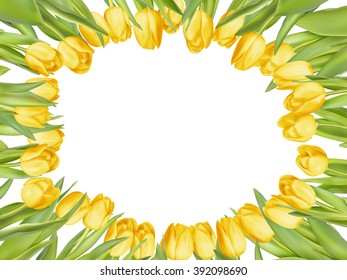 Yellow fresh tulips on white. EPS 10 vector file included