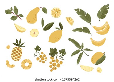 Yellow friuts and leaves modern vector clipart.