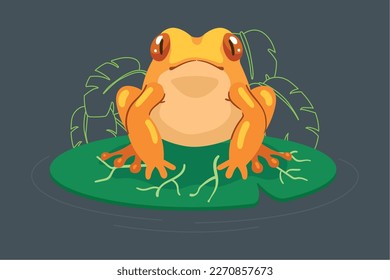 yellow frog amphibian in leaf animal