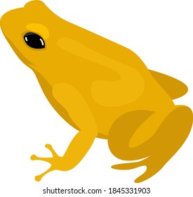 Yellow frog, illustration, vector on white background