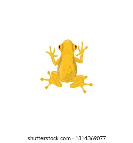 yellow frog vector on a white background