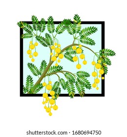 Frutos amarillos colgando de ramas y hay muchas hojas pequeñas rodeadas en el marco de la imagen,Frutos amarillos y hojas emergiendo del marco de la imagen,Para decoración interior,Dibujo vectorial.