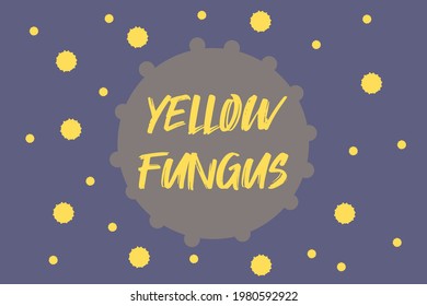 Download Yellow Fungus Hd Stock Images Shutterstock