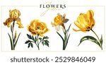 Yellow garden flowers isolated on a white background. Vintage painting style illustration.	