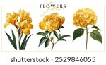 Yellow garden flowers isolated on a white background. Vintage painting style illustration.	