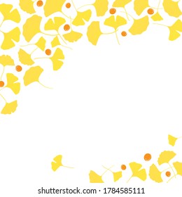 Yellow ginkgo leaves and berries background illustration on white	
