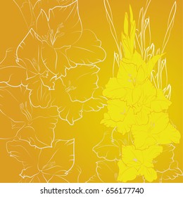 Yellow gladiolus with stem and leaves witt white outline on the background