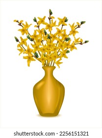 Gelbe Glasvase voll von frisch geschnittenen Fässern im Frühling. Gelbe Glänzblumen in einer goldenen Vase auf weißem Hintergrund. Fröhlicher Frauentag. Frühlingsblüte für Sythia