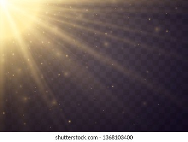yellow glowing light burst explosion on transparent background. Vector illustration light effect decoration with ray. Bright star. Translucent shine sun, bright flare. Center vibrant flash