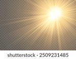 Yellow glowing light explodes on a transparent background. Sparkling magical dust particles. Bright Star. Transparent shining sun, bright flash. Vector sparkles.