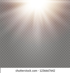 yellow glowing light explodes on a transparent background. Sparkling magical dust particles. Bright Star. Transparent shining sun, bright flash. Vector sparkles. To center a bright flash.