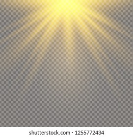 yellow glowing light explodes on a transparent background. Sparkling magical dust particles. Bright Star. Transparent shining sun, bright flash. Vector sparkles. To center a bright flash.
