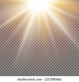 yellow glowing light explodes on a transparent background. Sparkling magical dust particles. Bright Star. Transparent shining sun, bright flash. Vector sparkles. To center a bright flash.