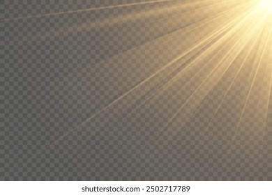 Yellow glowing light explodes on a transparent background. Sparkling magical dust particles. Bright Star. Transparent shining sun, bright flash. Vector sparkles.