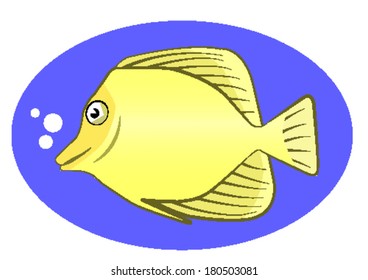 yellow, gold fish,