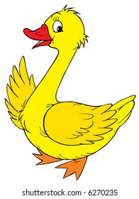 Yellow goose