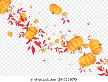 Yellow Gourd Background Transparent Vector. Colorful Halloween Illustration. Orange Pumpkin Print Card. Rowan Pattern. Picking Banner.