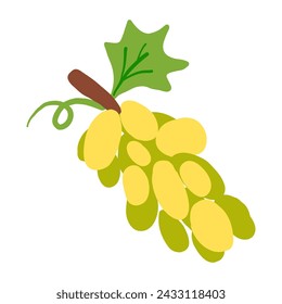 Yellow grape branch flat vector icon isolated on white, Organic fresh healthy fruit food ingredient, decorative sign berry for design pattern, healthy green market, European restaurant menu