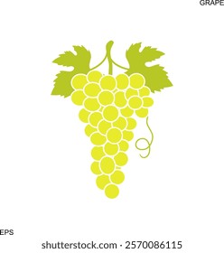 Yellow grape. Isolated grapes on white background