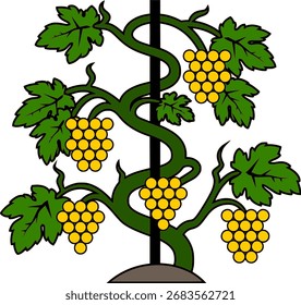 Yellow Grapevine Twisting on Pole