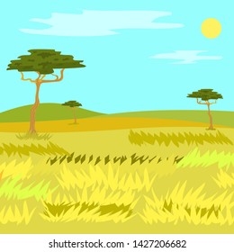 Yellow grass and trees, empty field and hills. Panorama view of savannah, clouds with sun on sky, natural wildlife and woods, floral design element vector, Africa landscape